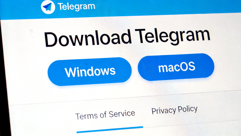 Telegram 官方网站下载页面截图，显示 Windows 和 macOS 下载按钮
